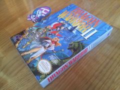 Dragon Warrior II