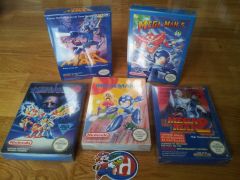 Mega Man's family.